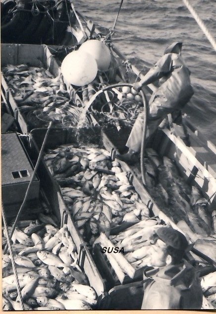 Día duro de pesca en Tapia de Casariego