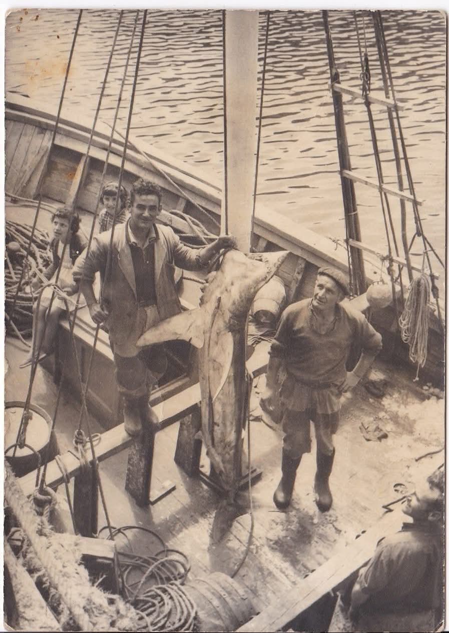 Barco en el muelle de Tapia de Casariego