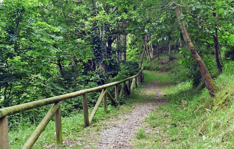 Ruta del Maíz