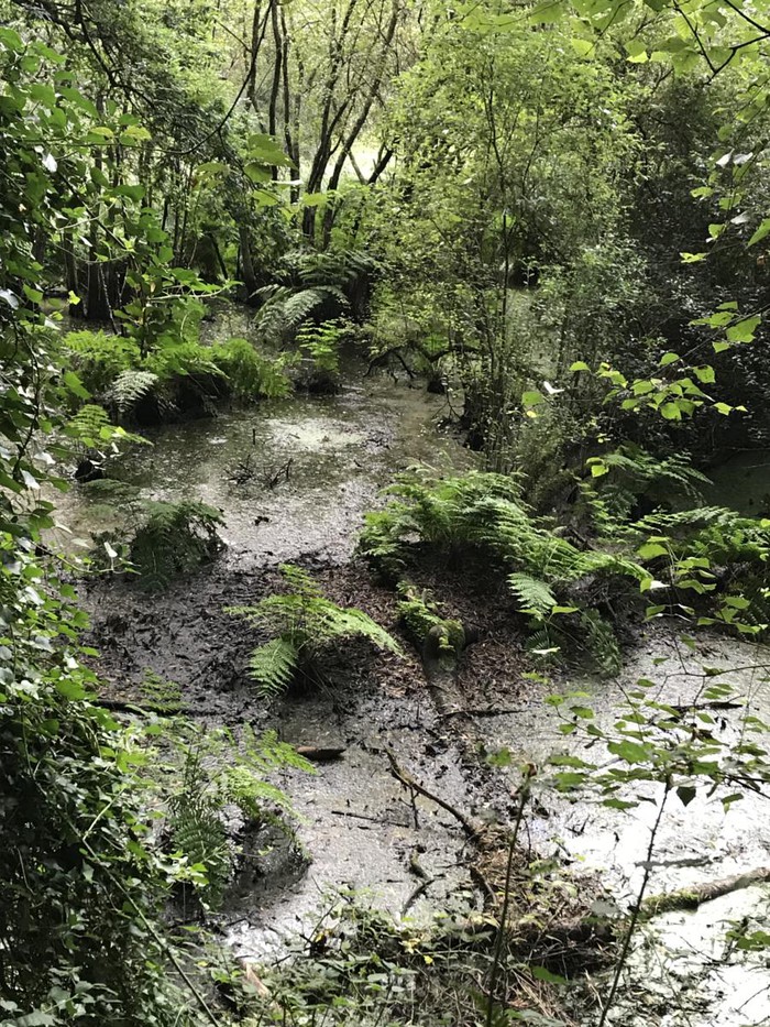 Ruta del Hierro y del Oro Tapia