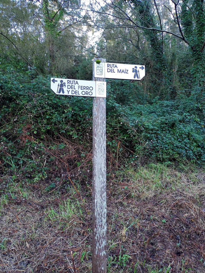 Ruta del Hierro y del Oro Tapia