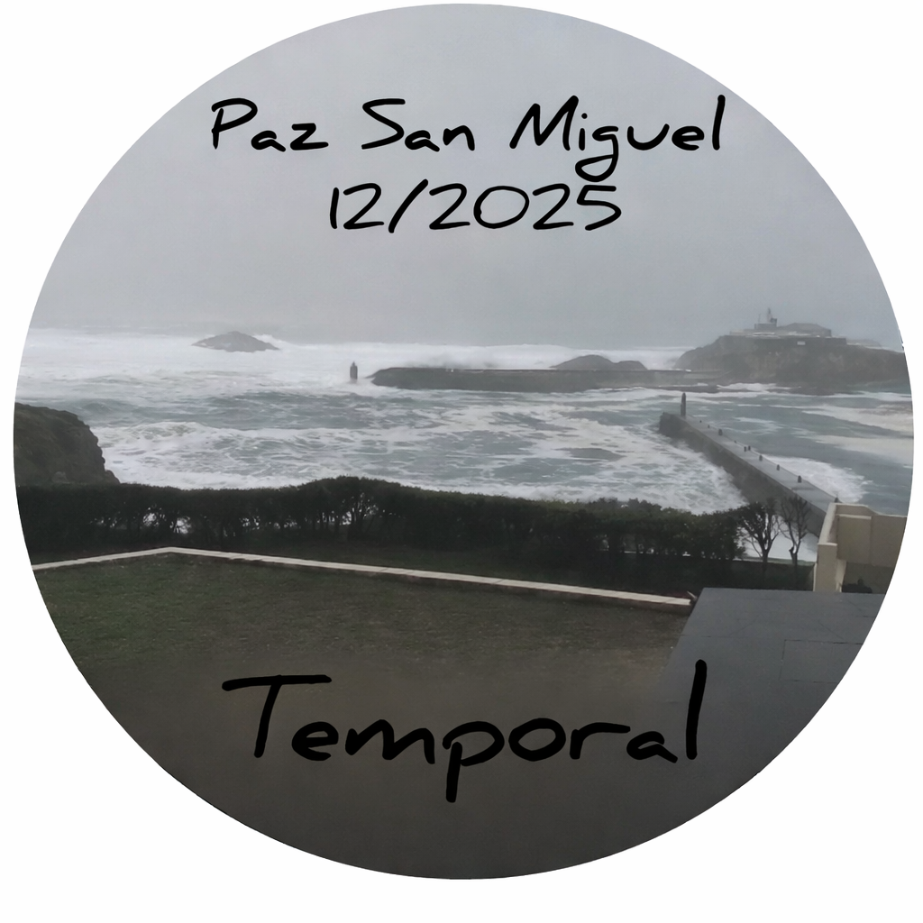 Temporal Paz San Miguel 12/2025