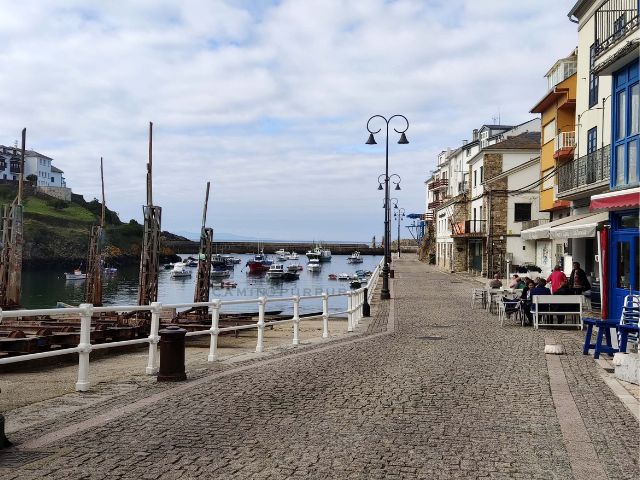 Paseando por el puerto de Tapia