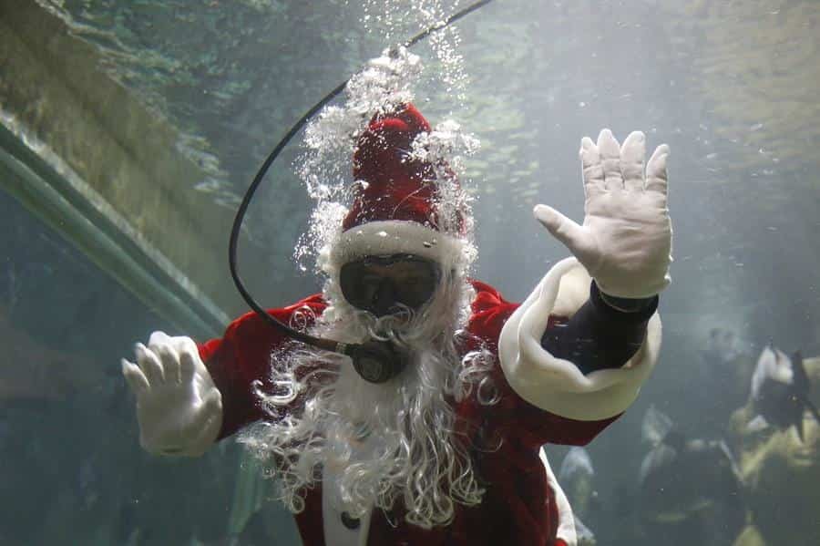 Papa Noel Tapiego