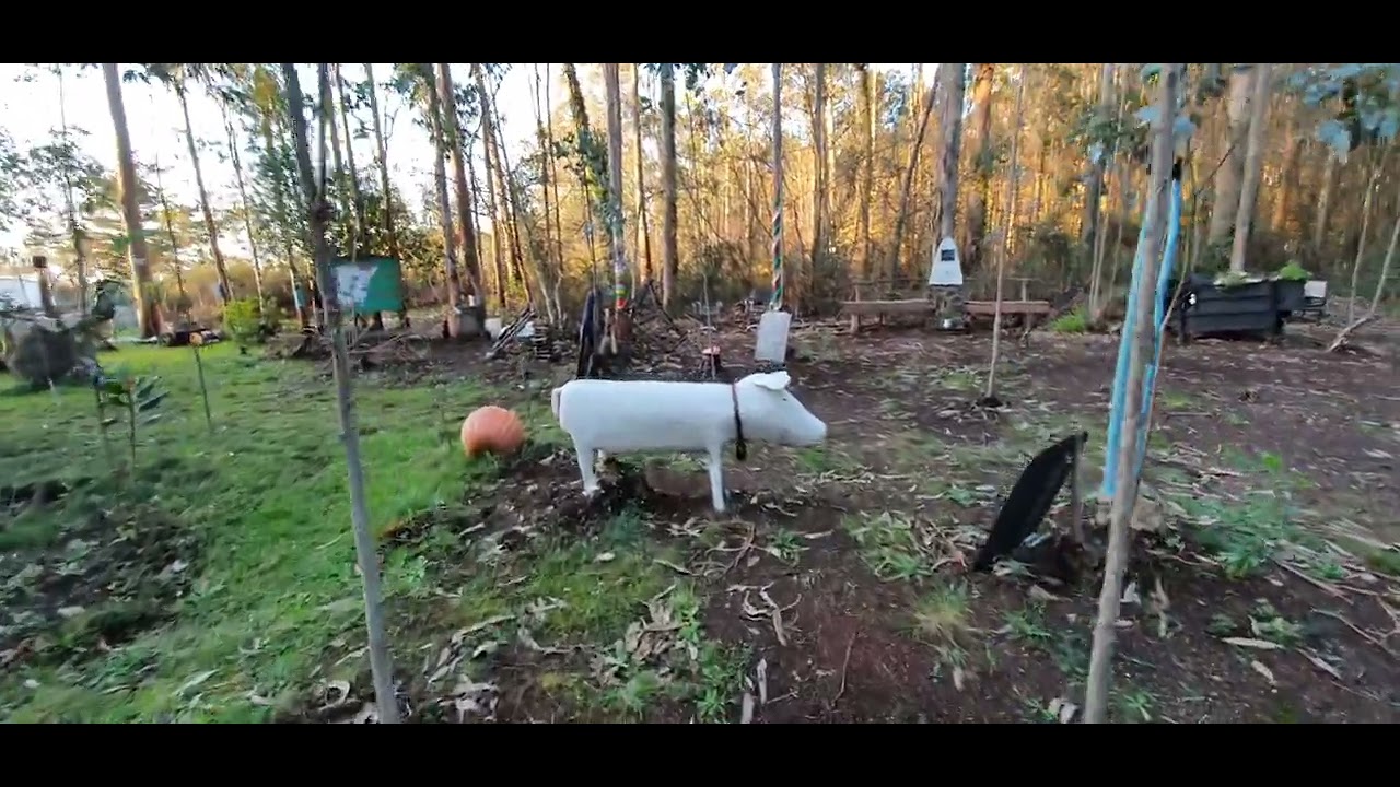 Un paseo por el Jardín de Camarada